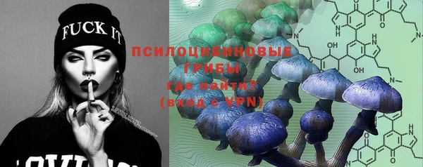 марки nbome Вяземский