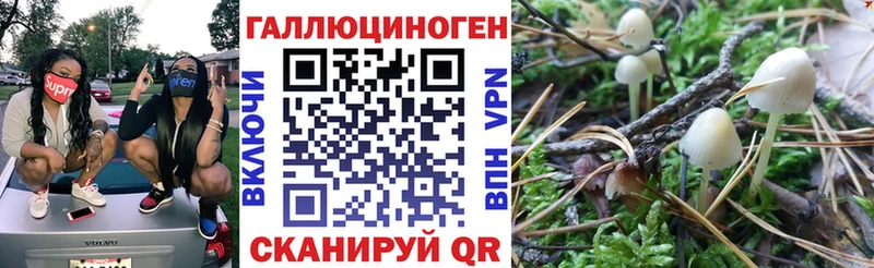 Псилоцибиновые грибы прущие грибы  Зверево 